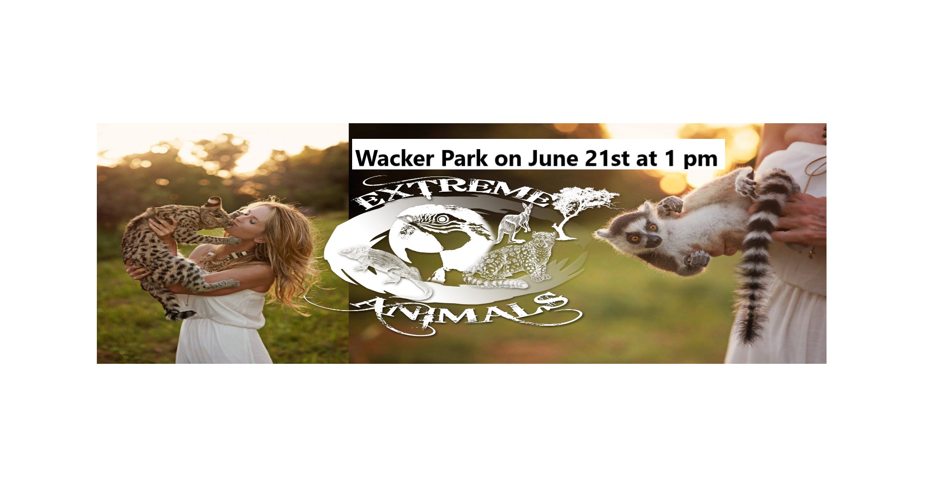 Extreme Animals at Wacker Park
June 21st at 1 pm
